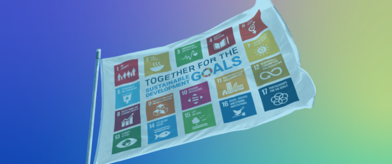 Asseco Spain Group joins the #SDGsforFlag campaign led by the UN Global Compact Spain